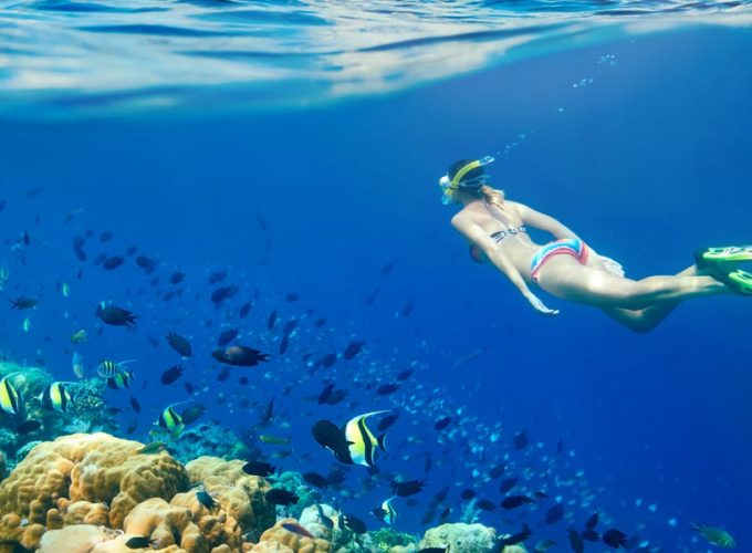 Car Rental & Real Estate Sharm el sheikh