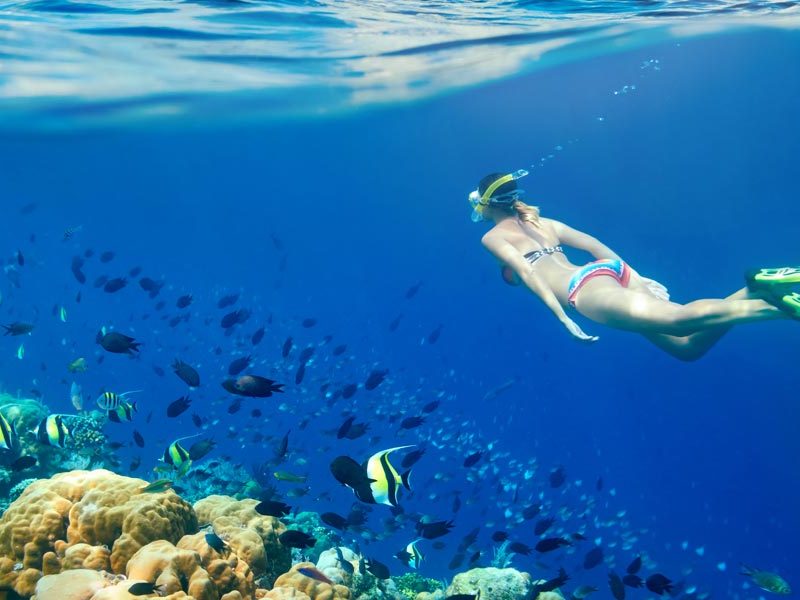 Car Rental & Real Estate Sharm el sheikh
